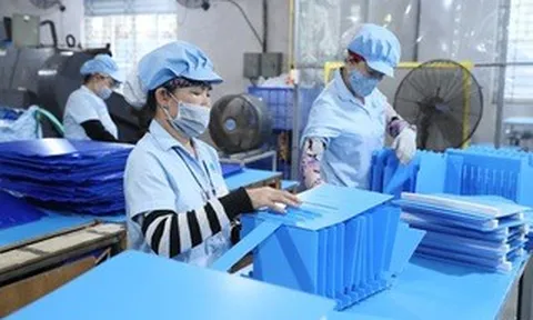 TPHCM dẫn đầu cả nước về Chỉ số hiệu quả kinh tế tư nhân