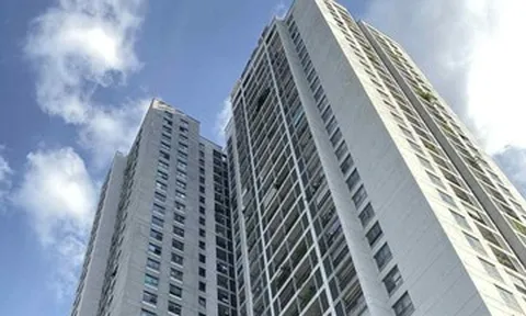 Vừa mua chung cư, 3 thế hệ nhà chồng đến 'tá túc', nàng dâu sợ hãi, muốn ly hôn