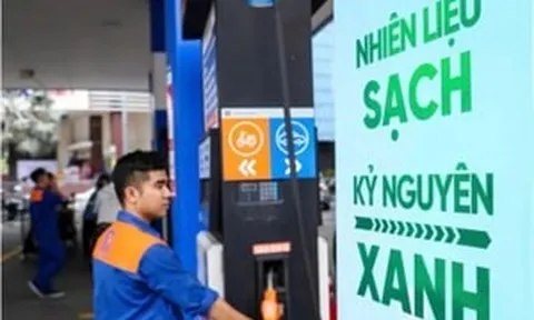 Lo lắng và chưa muốn sử dụng xăng E10, người đi xe máy ô tô vẫn còn một sự lựa chọn khác thay thế từ nay đến hết năm 2030
