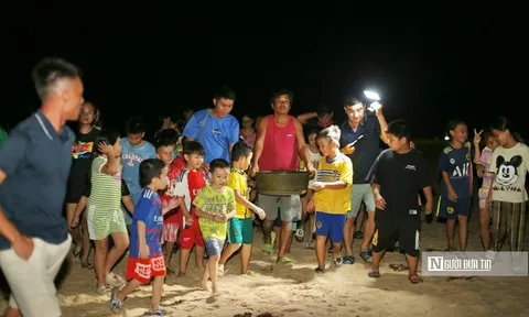 Về nơi "dựng nhà, đỡ đẻ" cho rùa biển
