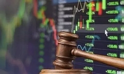 Người nhà của nữ CEO Thép Tiến Lên bị phạt nặng