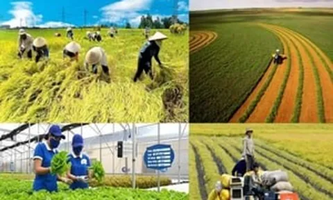 Lớn nhất từ trước đến nay: Bộ Nông nghiệp và Môi trường đề xuất 'xóa sổ' 100 quy định
