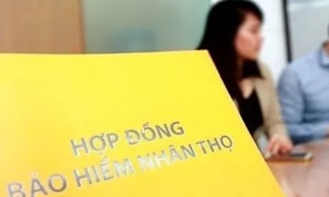 Người tham gia bảo hiểm Manulife, Prudential, Dai-ichi Life, Bảo Việt… được cảnh báo tuyệt đối không làm điều này
