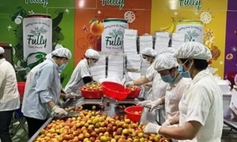 3 thị trường khó tính nhất thế giới chốt đơn gần 43.000 tấn 'quả tiến vua' Việt Nam