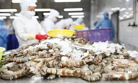 Ghẹ Việt Nam rộng cửa vào Mỹ, tôm tiếp tục chịu sức ép