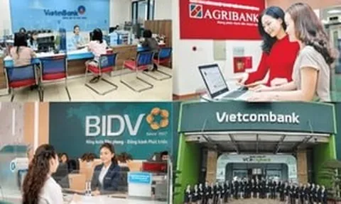 Cơ hội vào Big 4: Một ngân hàng tuyển gần 300 nhân sự, nhiều vị trí không yêu cầu kinh nghiệm