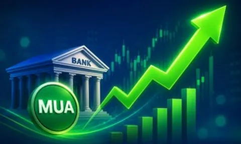KIS khuyến nghị MUA một cổ phiếu ngân hàng, kỳ vọng tăng giá gần 20% nhờ ROE thuộc nhóm cao nhất ngành