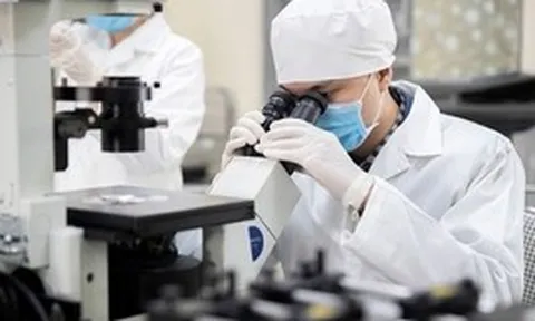 Khoa học cơ bản: Đầu tư dài hạn cho năng lực tự chủ quốc gia