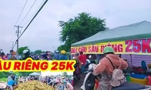 Cảnh báo loại sầu riêng 'giải cứu' giá rẻ như cho, bán đổ đống tại TP Hồ Chí Minh