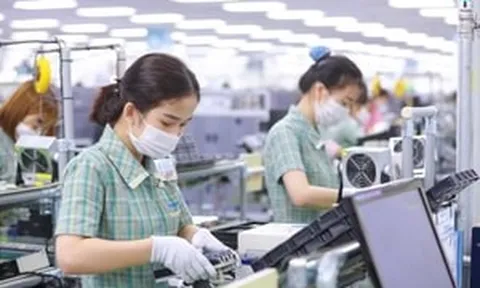 Ba nhóm hàng xuất khẩu mang về hơn 109 tỷ USD cho Việt Nam