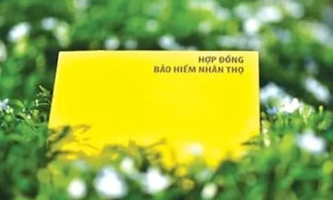 Thêm 'tân binh' gia nhập thị trường bảo hiểm nhân thọ Việt Nam
