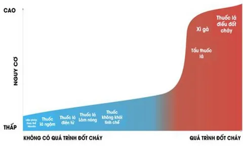 Sự dịch chuyển của thị trường nicotine và quá trình thích nghi của chính sách