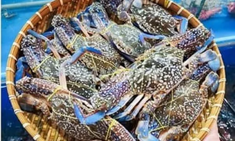 Mỹ ngừng nhập ghẹ từ Philippines, ghẹ Việt đón cơ hội