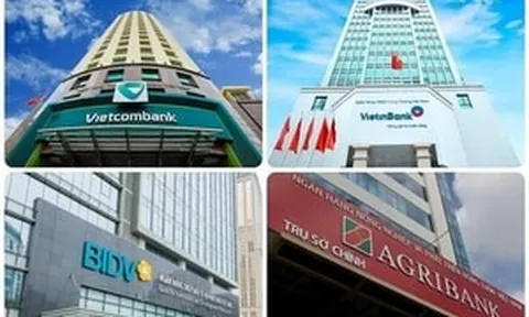 Một ông lớn Big 4 vừa hé lộ những con số đáng chú ý sau 5 tháng đầu năm