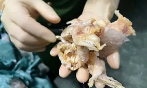 Triệt phá đường dây tuồn hơn 10.000 tấn chân gà vùng dịch ra thị trường