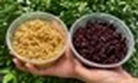 Ăn cơm rượu nếp, thổi nồng độ cồn có lên không?