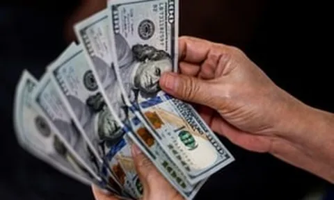 Tỷ giá hôm nay 19/6: USD tăng trở lại trên cả thị trường ngân hàng và tự do