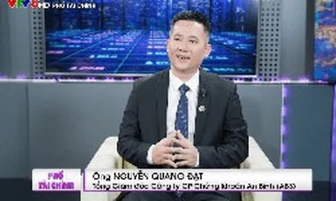 Việt Nam có thể trở thành “điểm sáng hiếm có” của dòng vốn toàn cầu, CEO Chứng khoán ABS chỉ ra 3 nhóm ngành kỳ vọng hút tiền