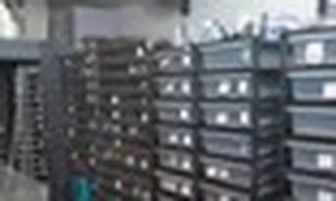 Phát hiện một căn hộ có lượng điện tiêu thụ nhiều bất thường, cảnh sát ập vào, chứng kiến cảnh tượng rùng mình