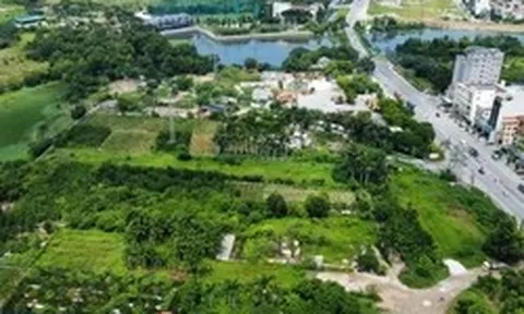 Đất nằm trong nhiều quy hoạch, căn cứ nào để chuyển mục đích sử dụng?