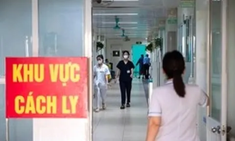 Bộ Y tế ban hành danh mục bệnh truyền nhiễm mới: Bổ sung loại vi rút cúm, viêm não Nhật Bản
