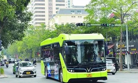 Từ nay, người đi xe buýt miễn phí tại TP. HCM cần đặc biệt lưu ý điều này kẻo mất quyền lợi