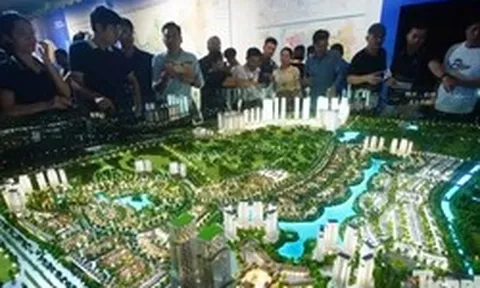 ‘Ma trận’ dịch vụ check quy hoạch: Cuộc sống đảo lộn, giao dịch bị hủy vì nhiễu loạn thông tin trên mạng