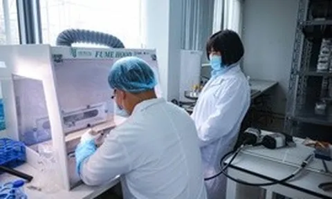 Chiến dịch 500 ngày đêm: Công nghệ ADN thế hệ mới mở thêm hy vọng tìm lại tên cho các liệt sĩ