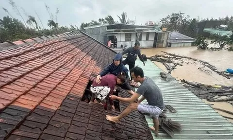 Phó thủ tướng: Mưa lũ mà để dân phải lên nóc nhà kêu cứu sẽ truy rõ trách nhiệm