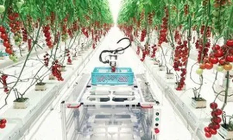 Điều kiện thành lập khu nông nghiệp ứng dụng công nghệ cao