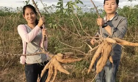 ‘Mỏ vàng xanh’ mới của Campuchia giúp đem về 690 triệu USD, Trung Quốc đang là bạn hàng lớn