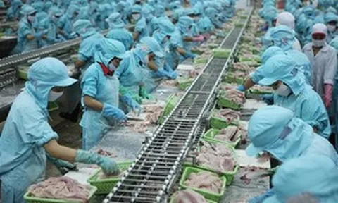 Lương 50 triệu đồng/tháng vẫn không có người làm, doanh nghiệp bất lực vì thiếu lao động