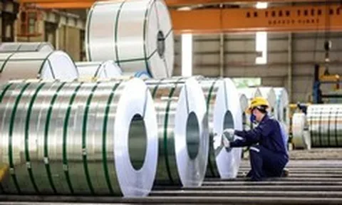 Hoa Sen ước tính hoàn thành 114% kế hoạch lợi nhuận niên độ tài chính 2025 - 2026 sau 9 tháng