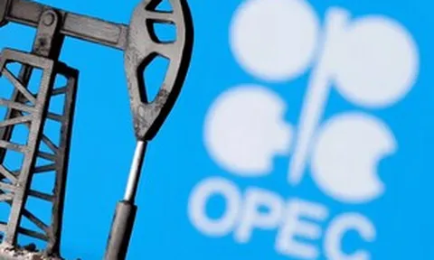Điểm danh 4 tổ chức tài chính Việt Nam được OPEC Fund rót gần 175 triệu USD