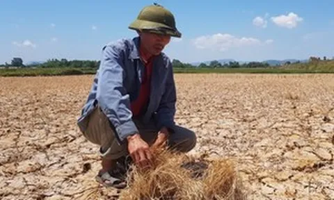 Gần 99% nguy cơ xảy ra 'siêu El Nino', chuyên gia cảnh báo điều đáng lo với Việt Nam