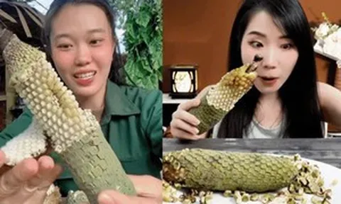 Từng bị bỏ mặc rụng đầy dưới gốc, loại quả này bất ngờ 'gây sốt' khắp Việt Nam: Giá gần 400.000 đồng/quả vẫn khó mua