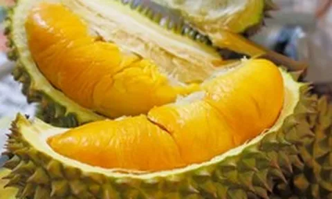 Đề xuất rút ngắn thời gian cấp mã số vùng trồng