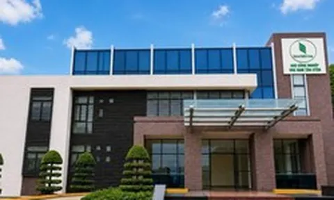 Nam Tân Uyên báo lãi ròng quý II/2026 tăng mạnh nhờ khoản cổ tức được chia