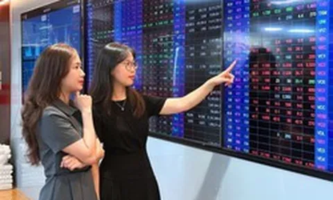 Chứng khoán Rồng Việt báo lãi sau thuế Quý 2/2026 gần 45 tỷ đồng