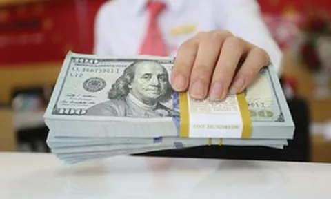 Tỷ giá tuần 13-17/7: Tỷ giá trung tâm tăng tuần thứ 10 liên tiếp, USD ngân hàng hạ nhiệt