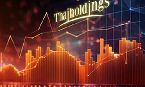 Thaiholdings miễn nhiệm một Phó Tổng Giám đốc