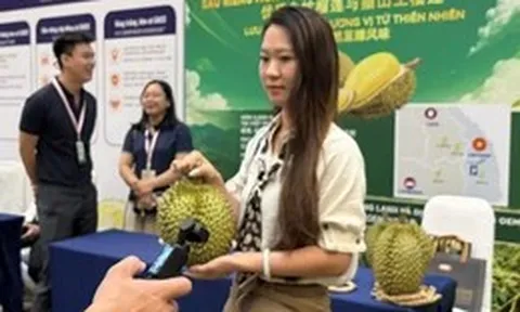 Hàng triệu đơn hàng sầu riêng Việt Nam qua sóng 'livestream' tại thị trường Trung Quốc