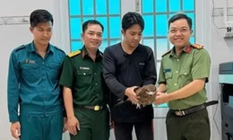 Bắt được chim Diều Lửa quý hiếm trong vườn, người dân mang giao công an