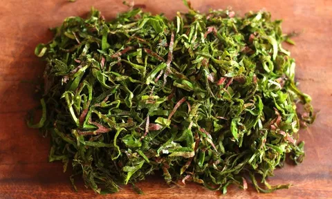 Loại cây quý như "nhân sâm người nghèo", mọc đầy bờ rào nhưng ít ai hay biết