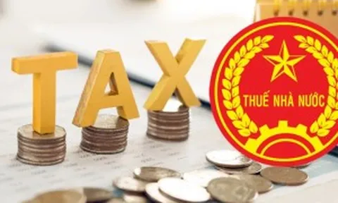 Cục Thuế lưu ý 5 điều quan trọng khi kê khai thuế thu nhập cá nhân