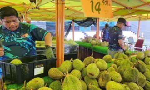 Cuộc chiến sầu riêng: Malaysia chuyển hướng sang đường bộ để quyết vượt Thái Lan