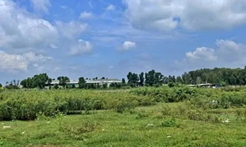 Vợ mắng chồng nhu nhược giữa đám giỗ, cả họ nổi giận buông đũa