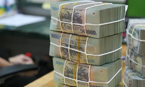 Bao che người nộp thuế, cản trở xác minh thông tin bị phạt tới 100 triệu đồng