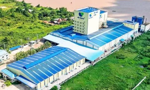 Việt Nam có nhà máy thức ăn cá biển đầu tiên do tập đoàn 100 năm tuổi Hà Lan xây dựng