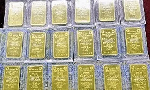 Cập nhật giá vàng miếng tại 15 doanh nghiệp trên toàn quốc
